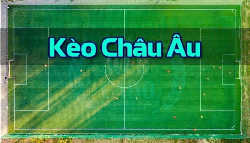 cách xem cá cược bóng đá