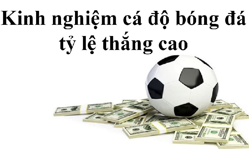 Làm thế nào để thắng cá độ bóng đá – Soi kèo tại nhacaiuytin