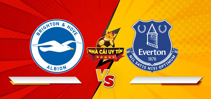 Brighton vs Everton – Soi kèo bóng đá 22h00 25/01/2025: Dấu hiệu khởi sắc